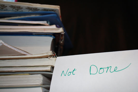 THE PROCRASTINATOR