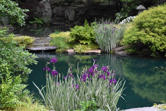 The Summer Of Stillness 2020