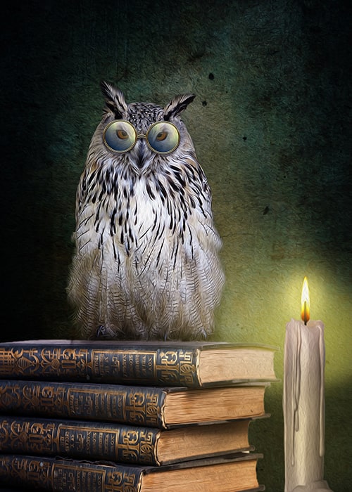 Animal Totem Reading